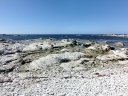kaikoura (24)